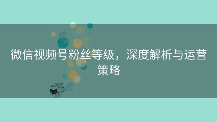 微信视频号粉丝等级，深度解析与运营策略
