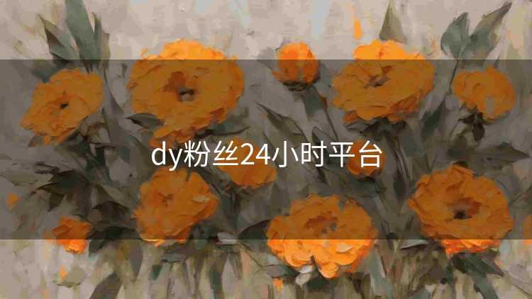 dy粉丝24小时平台
